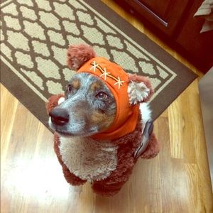Star Wars dog costume